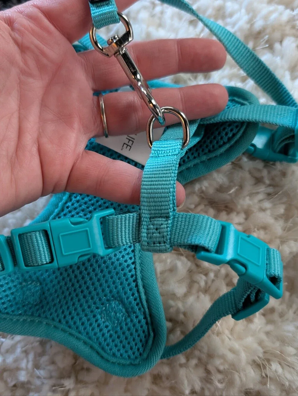 Vibrant Life Car Harnesses And Matching Leashes